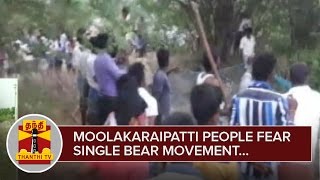 Moolakaraipatti People fear Single Bear Movement - Thanthi TV