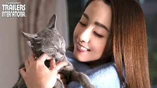 映画『猫は抱くもの』本予告