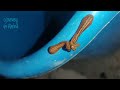 জোঁকের মিলন—এক দুর্লভ দৃশ্য love of leeches leech mating