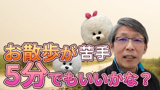 【犬のしつけ】お散歩好きじゃないみたい。5分でもいいの？【悩み相談ライブ切り抜き】