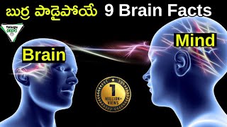 9 Mind Blowing Psychology FactS| Mind Blowing Facts About Mind | Telugu Geeks