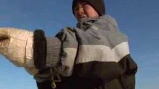 Narwhale hunting - A Boy Among Polar Bears - BBC