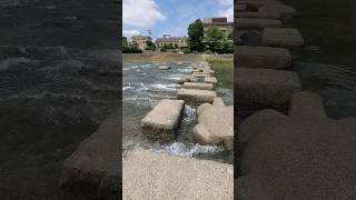 Hopscotch on Kamogawa River, Kyoto / 鴨川