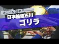 日本航空石川 近江高校友情応援 ゴリラ 応援歌 2024春 第96回 センバツ高校野球