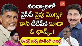 నంద్యాలలో వైసీపీ వైపు మొగ్గు? టీడీపీకి కూడా ఓ ఛాన్స్ | Survey Report on Nandyal By Polls | YOYO TV