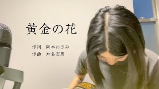 【黄金の花】 三線弾き語り ネーネーズのような素敵に歌えたらいいな 沖縄三線ソング