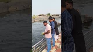 Fish in Huma Temple River Sambalpur