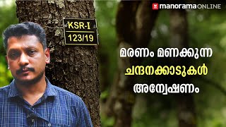 മരണം മണക്കുന്ന ചന്ദനക്കാടുകള്‍; അന്വേഷണം | Manorama Online | EXCLUSIVE