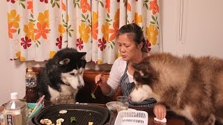 シベリアンハスキー誕生日11歳クッキー　Happy birthday　husky dog 11