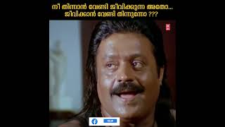 നീ തിന്നാൻ വേണ്ടി മാത്രം ആണോ ജീവിക്കുന്നേ #sureshgopi #malayalamcomedyscenes #shorts #youtubeshorts