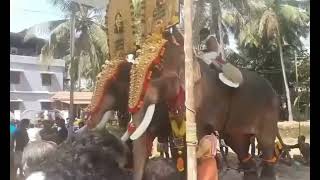 രാമൻ ഇടഞ്ഞപ്പോൾ Thechikottukavu Ramachandran Attack                                 #Elephant attack