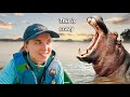 Discovering Zambia's Natural Beauty | Canoeing with Hippos