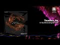 Thommes Jay - In My Mind (Original Mix) [Studio3000 Records]