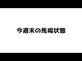 【阪神ジュベナイルフィリーズ2021】過去データ9項目解析 買いたい馬3頭と消せる人気馬1頭について 競馬予想