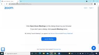 Javascript assignment, alert, document write
