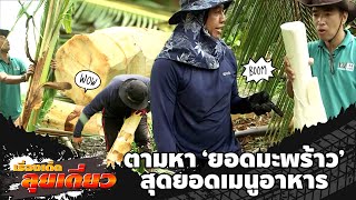 เรื่องเด็ดลุยเดี่ยว | ตามหายอดมะพร้าว สุดยอดเมนูอาหาร จ.สมุทรสงคราม | ข่าวเที่ยงอมรินทร์ | 20 ธ.ค.65