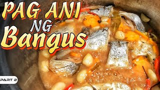 EP982-P2 - Bangus Harvest