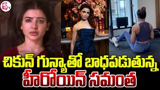 చికున్‌గున్యాతో బాధపడుతున్న సమంత | Samantha Ruth Prabhu Hits the Gym While Battling Chikungunya