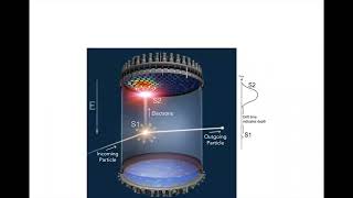 84. The LUX-ZEPLIN (LZ) Experiment: Searching for direct evidence of dark matter - Yue Wang