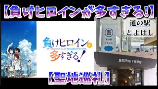 【負けヒロインが多すぎる!】豊橋市地下資源館と、道の駅とよはしに行ったよ。【聖地巡礼】