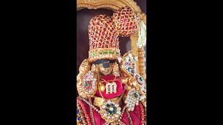 ஸ்ரீ ரங்கநாச்சியார் ஊஞ்சல் திருவிழா.