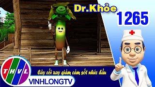 Dr. Khỏe - Tập 1265: Cây cối xay giảm cảm sốt nhức đầu | THVL