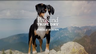 PetKind Tripe Dry Superfood