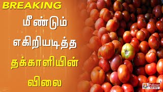 மீண்டும் எகிறியடித்த தக்காளியின் விலை கோயம்பேடு காய்கறி சந்தையில் தக்காளி விலை இன்று 10ரூபாய் உயர்வு