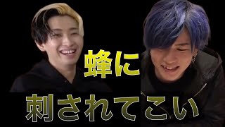 【ヒカルツイキャス】youtuberロケマサよ、蜂に刺されてこい【ヒカル切り抜き】