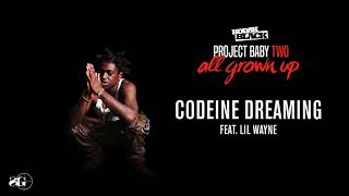 Kodak Black - Codeine Dreaming (feat. Lil Wayne) [ Audio]