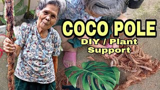 How To Make COCO POLE D.I.Y AT HOME || Plant Support