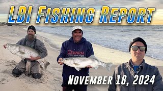 LBI Fishing Report 11/18/24 - Mid November Central NJ Fishing Report: Striped Bass, Tog & Tuna