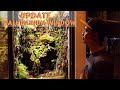 PALUDARIUM WINDOW UPDATE - TAMBAH TANAMAN DAN MAINTENANCE RUTIN