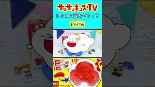 【お菓子】トミカの巨大グミ作り！パート6★サンサンキッズTV★#shorts #gummy