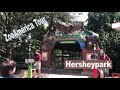 ZooAmerica Full Walkthrough • Hersheypark • Summer 2020