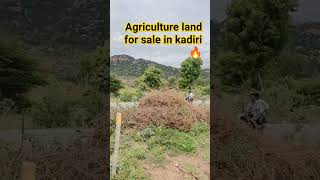 agriculture land for sale🔥// #realestate #viral #plz #property