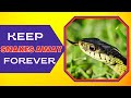 What Can You Put In Your Yard To Keep Snakes Away? Simple Solutions