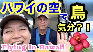 【❷ハワイHawaii グライダー場が閉鎖の危機！中編】Beautiful Island, Oahu! The Glider port may close down?! #パイロット#夫婦#アメリカ