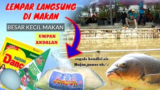 UMPAN PUTIH SELALU BUAT ANDALAN MANCING IKAN MAS HARIAN DAN LOMBA LANGSUNG TEST HARIAN