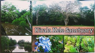 Kirala Kele Sanctuary | matara | sri lanka.