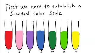 Red cabbage indicator virtual pH lab.