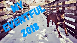 My Eventful 2018