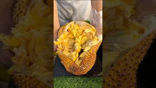 Must-Try Fried Cempedak Fruit (Jackfruit Family)