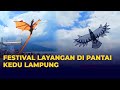 Ratusan Layang Layang Hiasi Langit Pantai Kedu Lampung