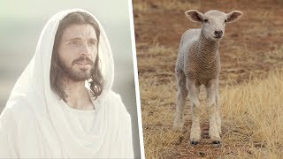 Jesus Christ, the Passover Lamb