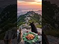 猫咪爱做饭—泰山叫花鸡 猫咪 美食 美食教程 美食分享