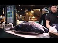 the biggest bluefin tuna catch i’ve ever seen how fishermen catch millions of bluefin tuna