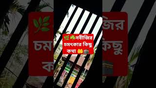 নবীজির চমৎকার কিছু কথা  #নবীজির #shorts