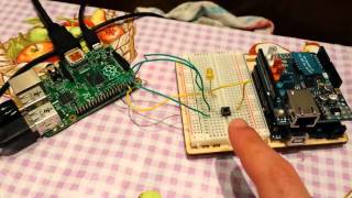 Blink a led from raspberry pi with python script
