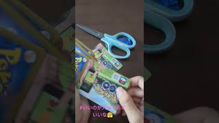 強化拡張パックポケモンgoを買った結果…